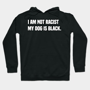 No to racist Hoodie